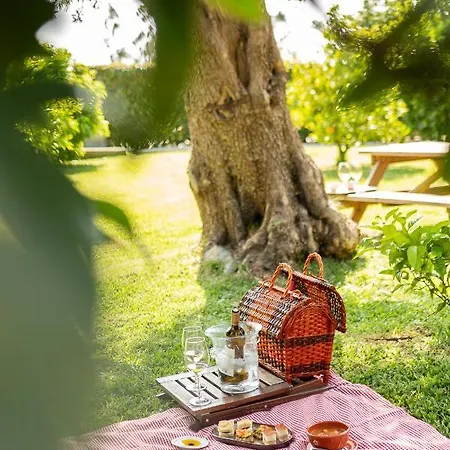 팜스테이 Casa Lata - E Enoturismo *