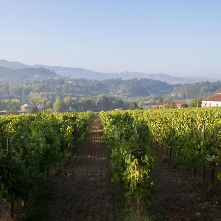 Séjour à la ferme Casa Lata - E Enoturismo