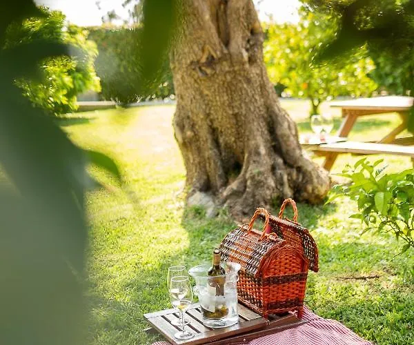 팜스테이 Casa Lata - E Enoturismo *