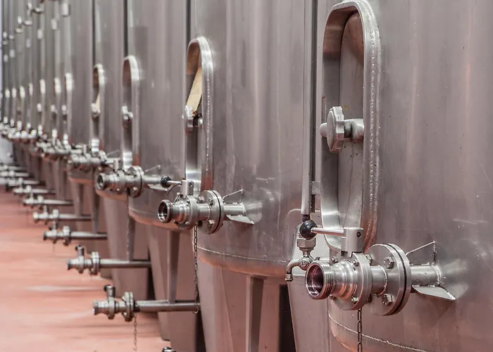 Feriegård Casa Lata - E Enoturismo Amares