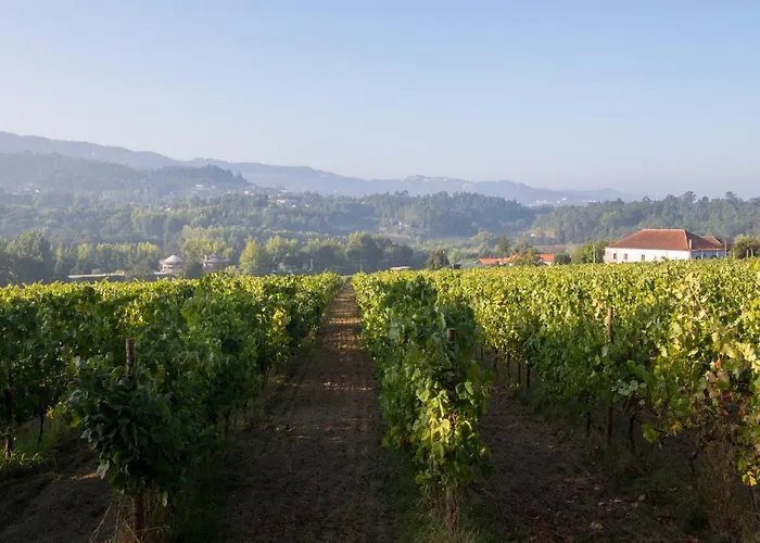 Feriegård Casa Lata - E Enoturismo